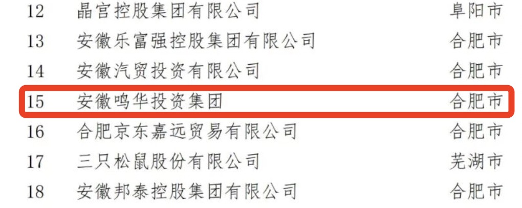 2022安徽省民营企业百强榜单